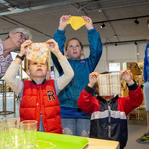 20250706 Goede Morgen DSC9454 lr